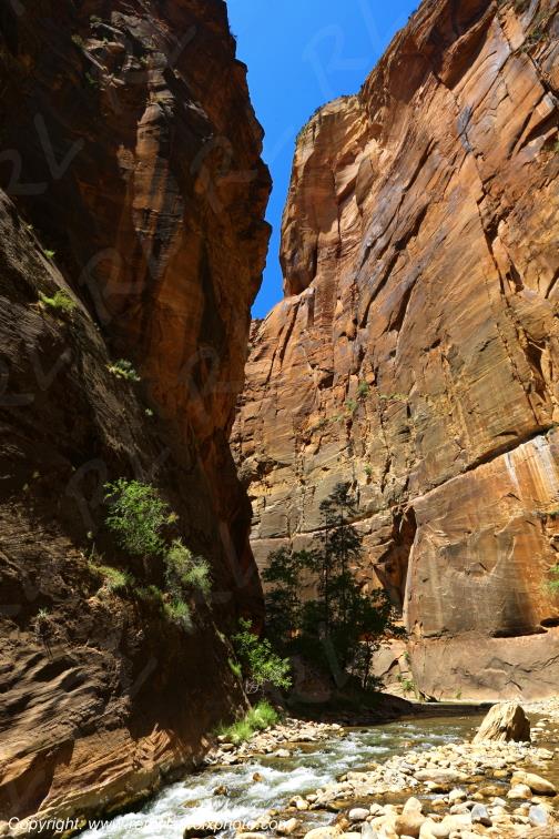 Riverside Walk Zion National Park Utah USA