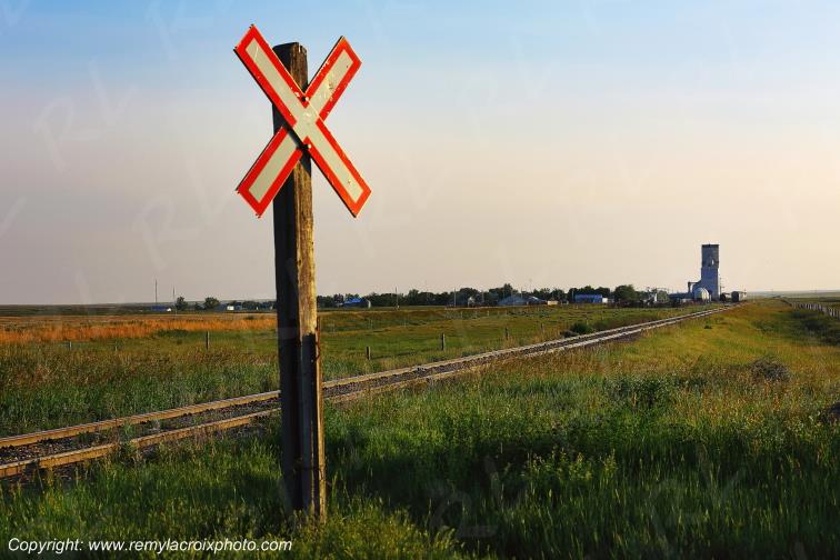 Consul Great Plains Grandes Plaines Saskatchewan Canada www.remylacroixphoto.com