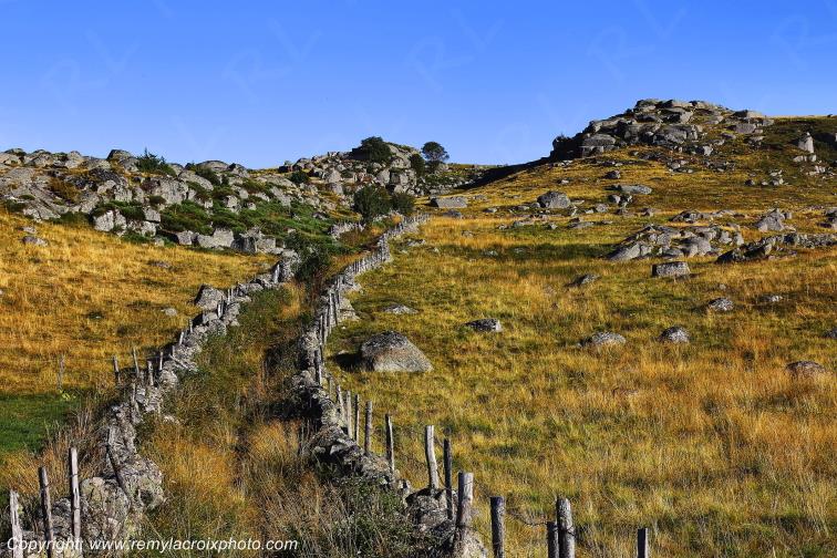 Rieutort d'Aubrac Loz�re Languedoc-Roussillon Occitanie France www.remylacroixphoto.com