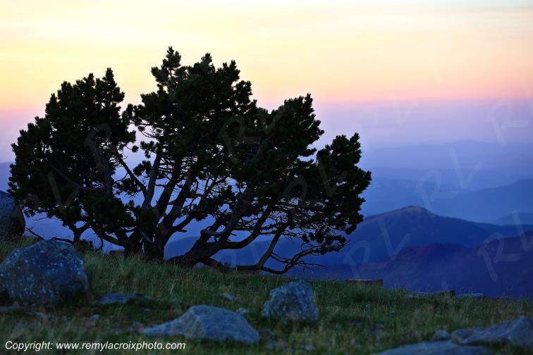 Mont Aigoual Loz�re Languedoc-Roussillon Occitanie France www.remylacroixphoto.com