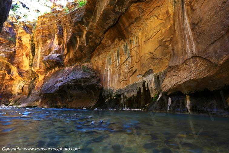 Riverside Walk Zion National Park Utah USA