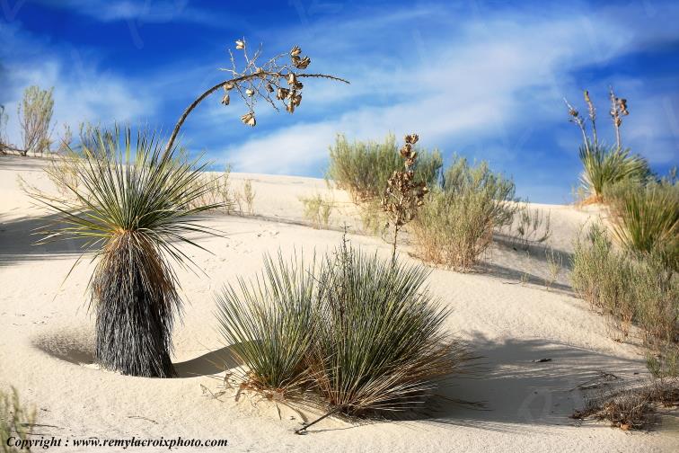 White Sands National Monument New-Mexico USA www.remylacroixphoto.com