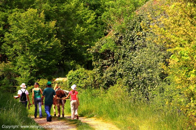 Le Bouchet parc naturel r�gional de la Brenne Indre Berry Centre Val de Loire France