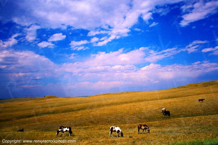 Custer Battlefield Nat'l Mon,Montana,USA