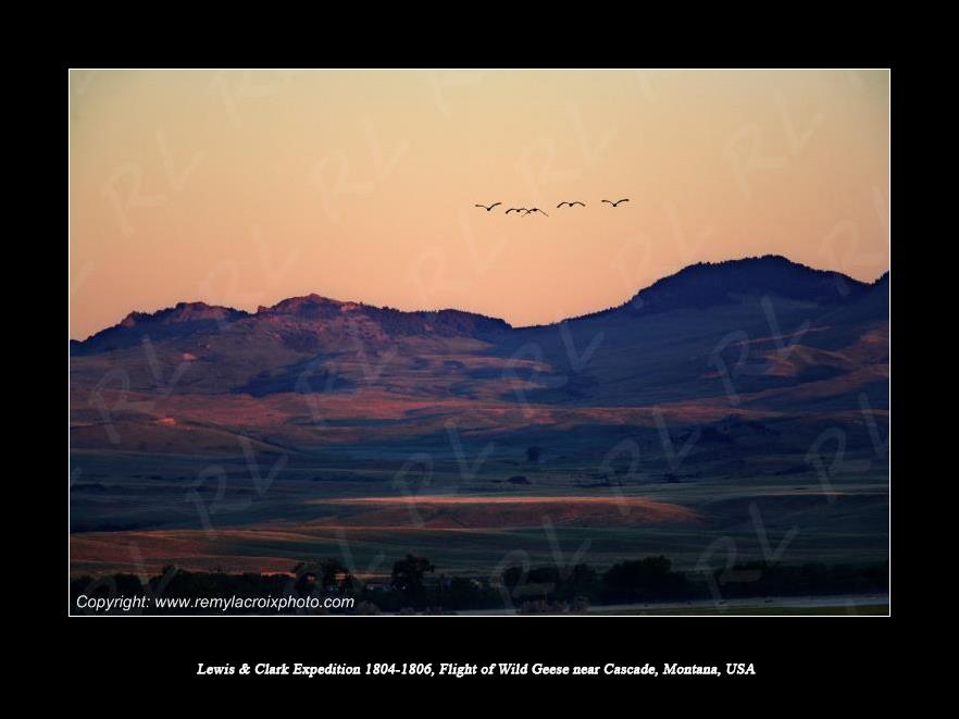Lewis & Clark Expedition 1804-1806 Flight of Wild Geese near Cascade Montana USA