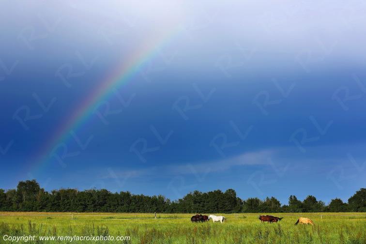 Parnay Champagne Berrichonne Cher Berry Centre Val de Loire France www.remylacroixphoto.com