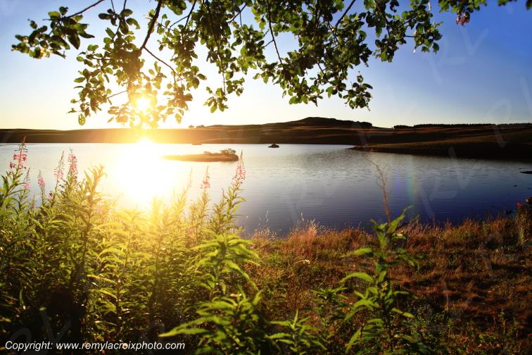 Aubrac Aveyron Occitanie France www.remylacroixphoto.com