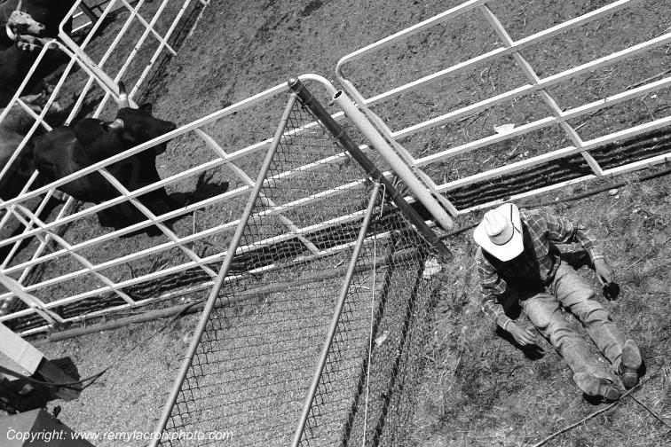 Cheyenne Frontier Days rodeo Wyoming USA www.remylacroixphoto.com