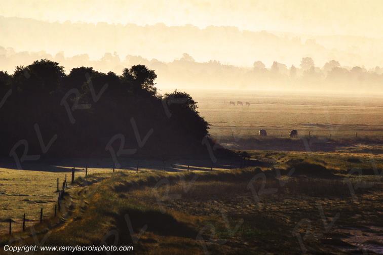 Bocage Normand Baie du Mont Saint Michel Manche Normandie France www.remylacroixphoto.com