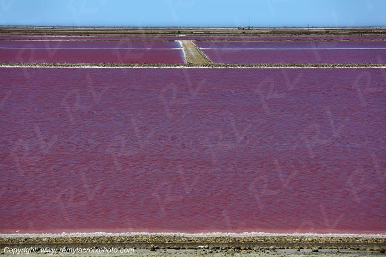 Salin de Giraud Camargue Bouches du Rh�ne Provence Alpes C�te d'Azur France www.remylacroixphoto.com