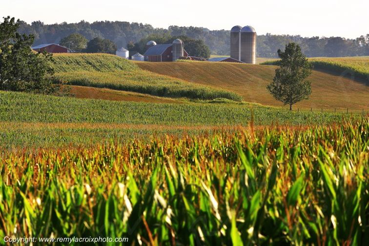 Shenandoah Valley Mount Crawford Shenandoah Valley Virginia Virginie USA www.remylacroixphoto.com