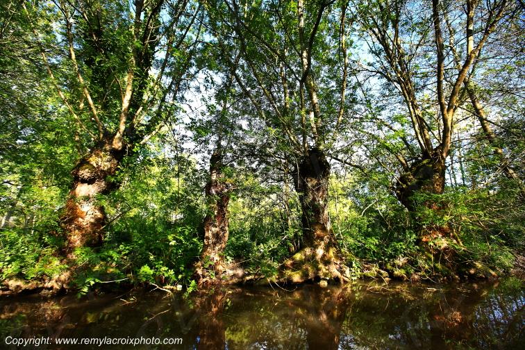 Marais Poitevin Ar�ais Deux-S�vres Poitou Charentes Nouvelle Aquitaine France www.remylacroixphoto.com