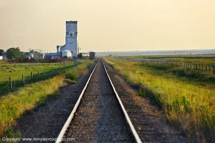Consul Great Plains Grandes Plaines Saskatchewan Canada www.remylacroixphoto.com