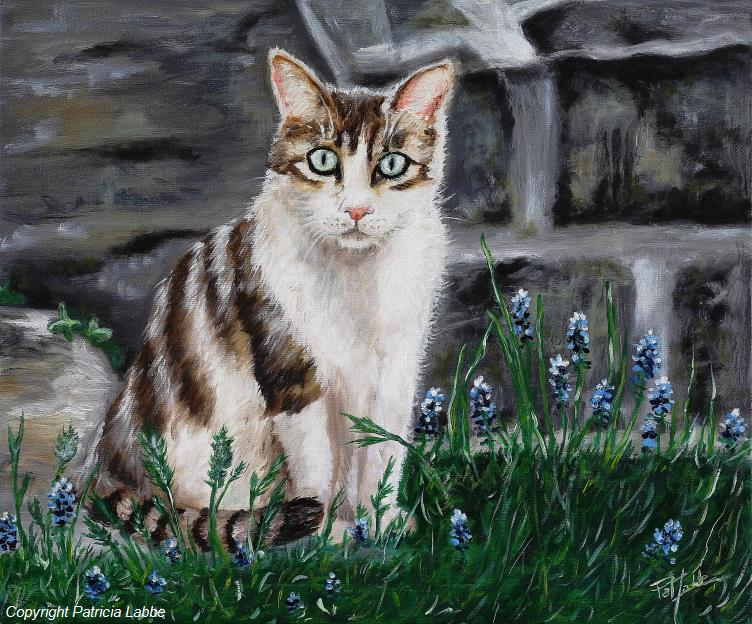 Jeune chat curieux dans un jardin - Huile sur toile - Format 46x38 cm