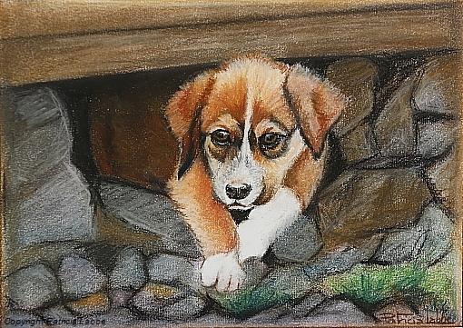 La pause d'un chiot vagabond. Dessin crayons pastel 20x28 cm