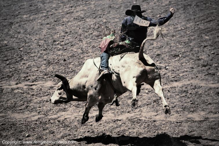 Rodeo Cheyenne Frontier Days bull-riding Wyoming USA www.remylacroixphoto.com