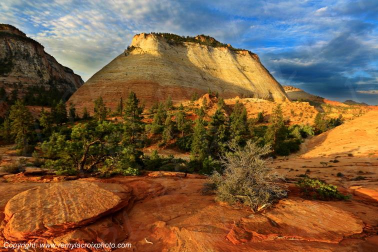 Mount Carmel Highway Zion National Park Utah USA