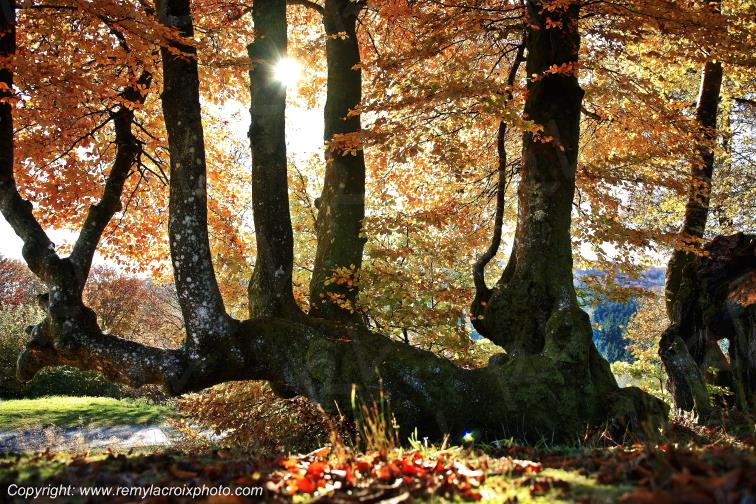 Bibracte site arch�ologique Gaulois Sa�ne et Loire Ni�vre Bourgogne Franche Comt� France www.remylacroixphoto.com