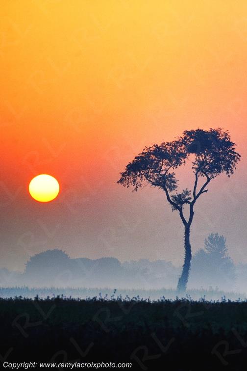 Lancaster Dutch County Amish Pennsylvania Pennsylvanie USA ww.remylacroixphoto.com