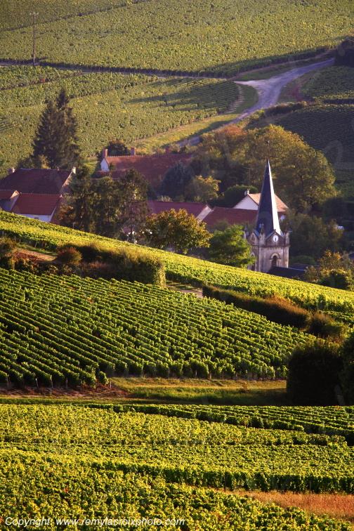 Bu� vignoble Sancerrois Cher Berry Centre Val de Loire France