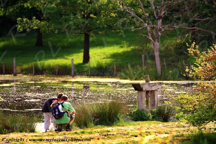 Le Bouchet parc naturel r�gional de la Brenne Indre Berry Centre Val de Loire France