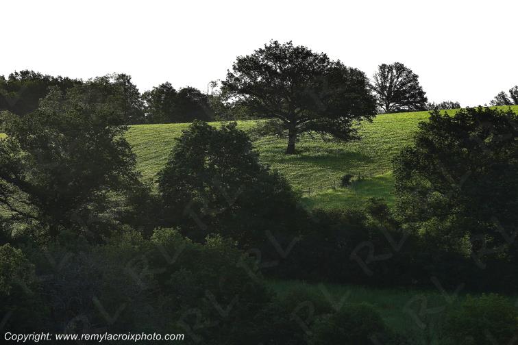 Sidiailles Marche Cher Berry Centre Val de Loire France www.remylacroixphoto.com