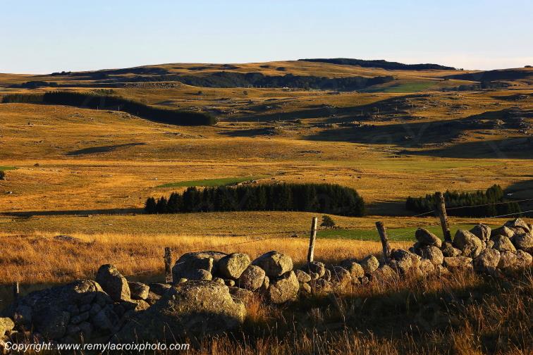 Rieutort d'Aubrac Loz�re Languedoc-Roussillon Occitanie France www.remylacroixphoto.com