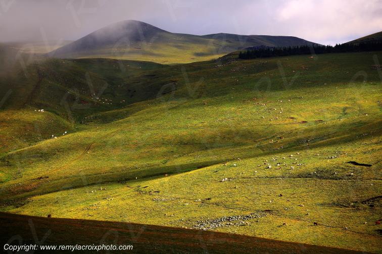 C�zallier col de Fortunier Cantal Auvergne Rh�ne-Alpes France www.remylacroixphoto.com