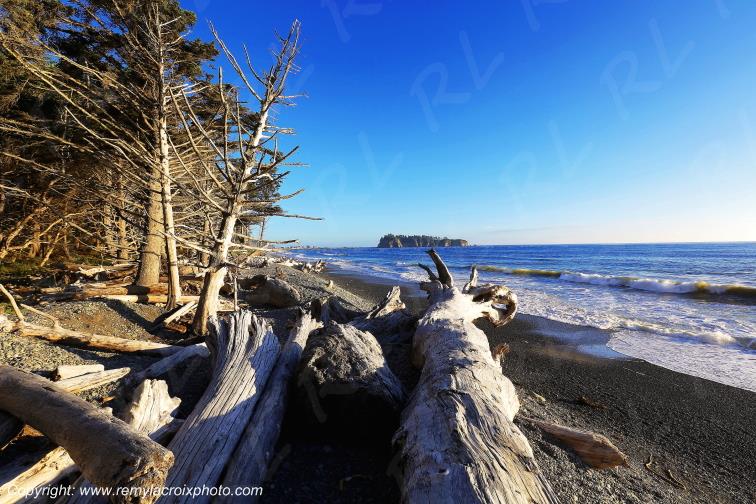 Rialto Beach Olympic National Park Washington USA www.remylacroixphoto.com