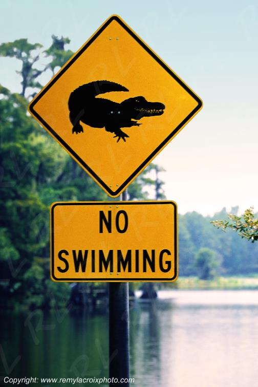 Alligators sign panneau alligators bayou Lousiane USA www.remylacroixphoto.com