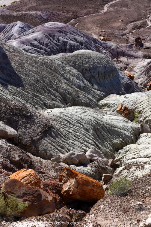 Blue Mesa Petrified Forest National Park Arizona USA