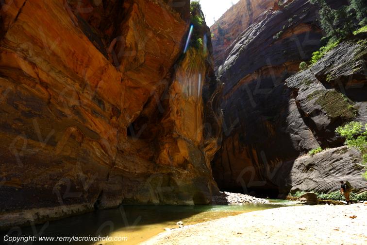 Riverside Walk Zion National Park Utah USA