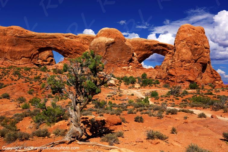 The Windows Arches National Park Utah USA