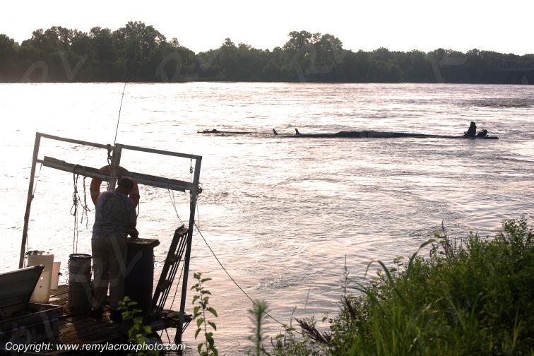 Missouri River Washington Missouri USA www.remylacroixphoto.com