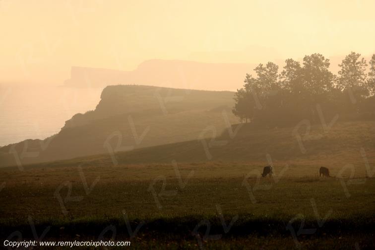 Tagle Cantabrique Espagne Spain Espana
