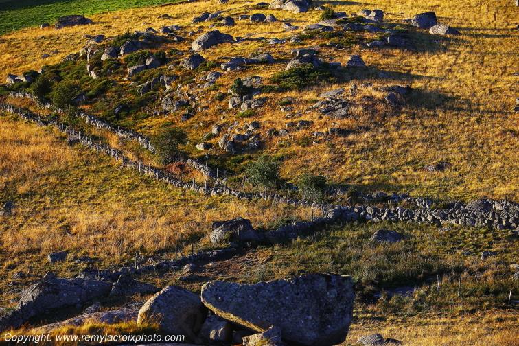 Rieutort d'Aubrac Loz�re Languedoc-Roussillon Occitanie France www.remylacroixphoto.com