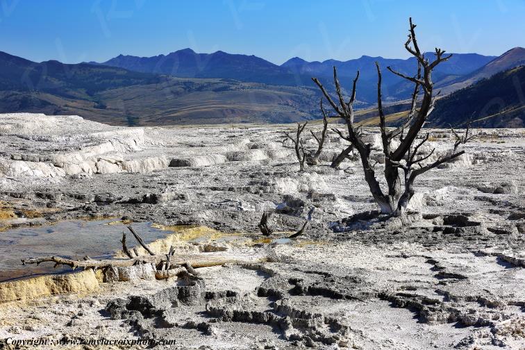 Mammoth Hot Springs Yellowstone National Park Wyoming USA www.remylacroixphoto.com