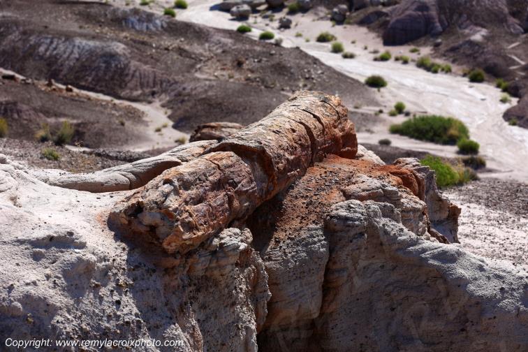 Blue Mesa Petrified Forest National Park Arizona USA