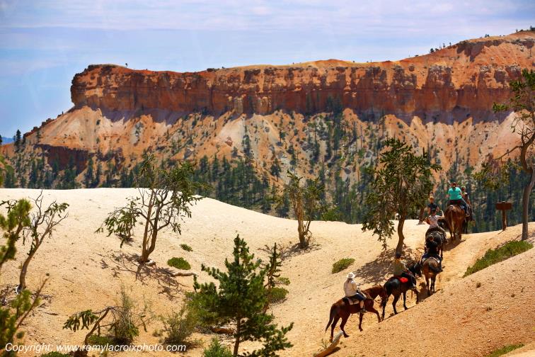 Queen Garden Trail Bryce Canyon National Park Utah USA