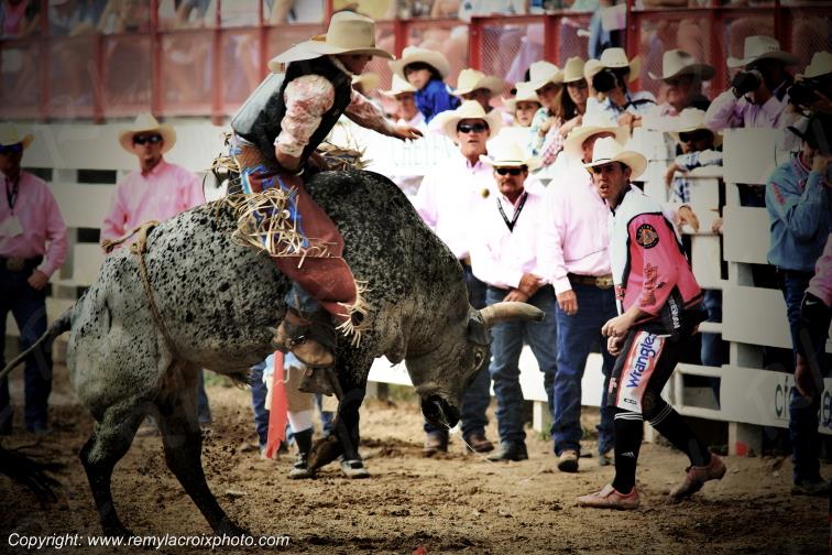 Rodeo Cheyenne Frontier Days bull-riding Wyoming USA www.remylacroixphoto.com