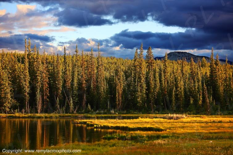 Eagle Lake British Columbia Canada www.remylacroixphoto.com #eagle #eaglelake #britishcolumbia #canada