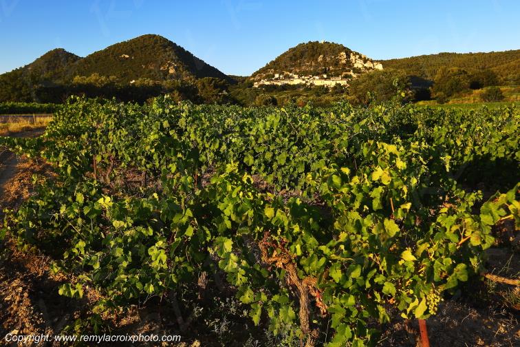 S�guret Vaucluse Provence Alpes C�te d'Azur PACA France www.remylacroixphoto.com