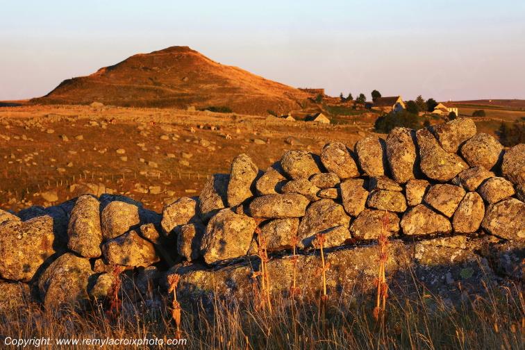 Rieutort d'Aubrac Loz�re Languedoc-Roussillon Occitanie France www.remylacroixphoto.com