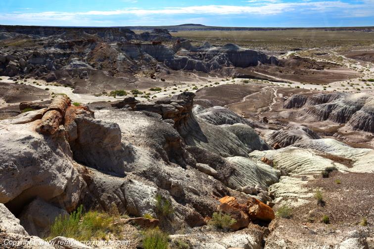 Blue Mesa Petrified Forest National Park Arizona USA