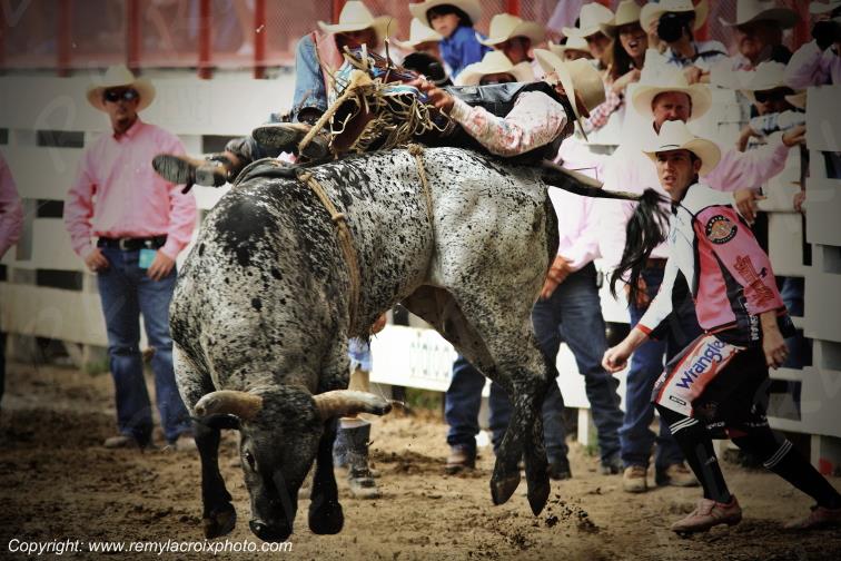Rodeo Cheyenne Frontier Days bull-riding Wyoming USA www.remylacroixphoto.com