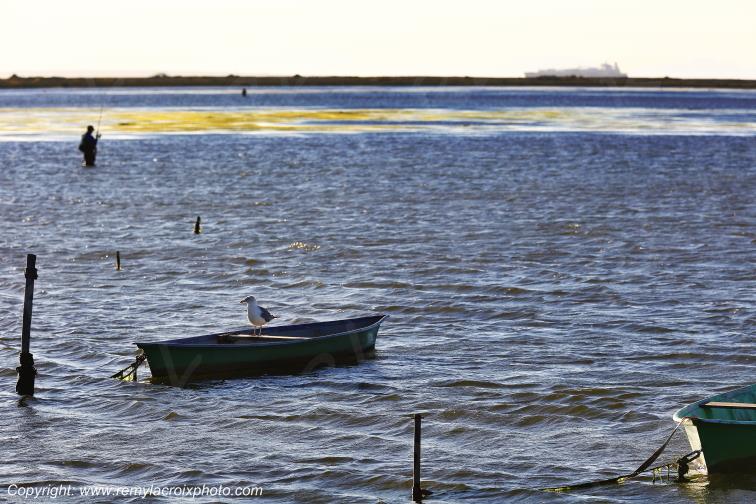 Port Saint Louis du Rh�ne Camargue Bouches du Rh�ne Provence Alpes C�te d'Azur France www.remylacroixphoto.com