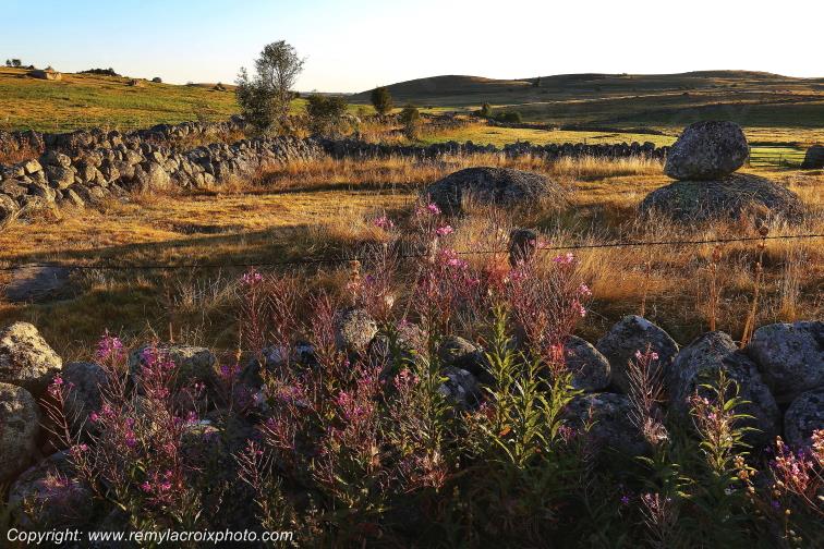 Rieutort d'Aubrac Loz�re Languedoc-Roussillon Occitanie France www.remylacroixphoto.com