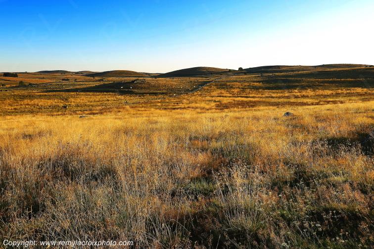Rieutort d'Aubrac Loz�re Languedoc-Roussillon Occitanie France www.remylacroixphoto.com