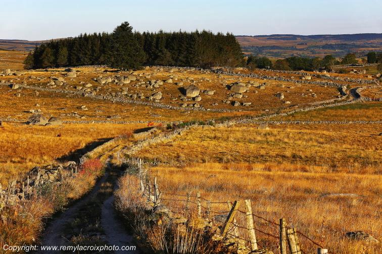 Rieutort d'Aubrac Loz�re Languedoc-Roussillon Occitanie France www.remylacroixphoto.com