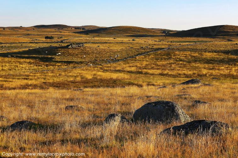 Rieutort d'Aubrac Loz�re Languedoc-Roussillon Occitanie France www.remylacroixphoto.com